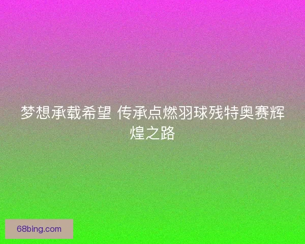 梦想承载希望 传承点燃羽球残特奥赛辉煌之路